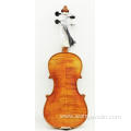 Ebony Fitted Solid Wood Violin